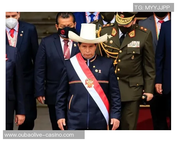 赖斯在国际政治舞台上的崛起与影响力分析 赖斯在国际政治舞台上的崛起与影响力分析